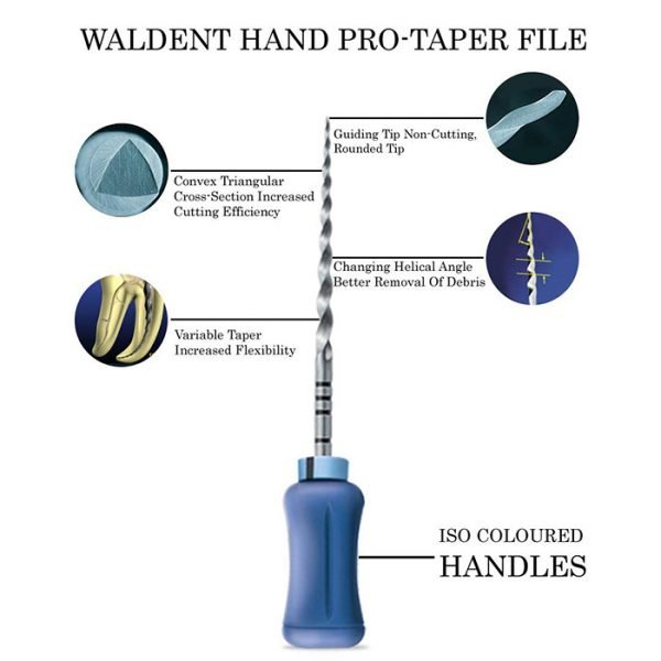 pro-taper-hand-files-7_1